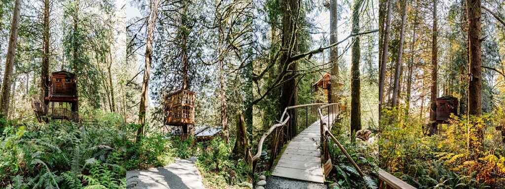 treehouse point elopement 